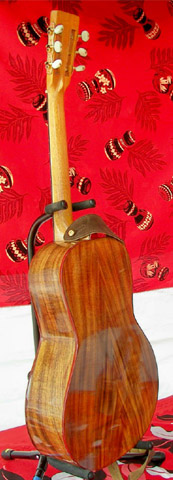 Parlor Guitar Back