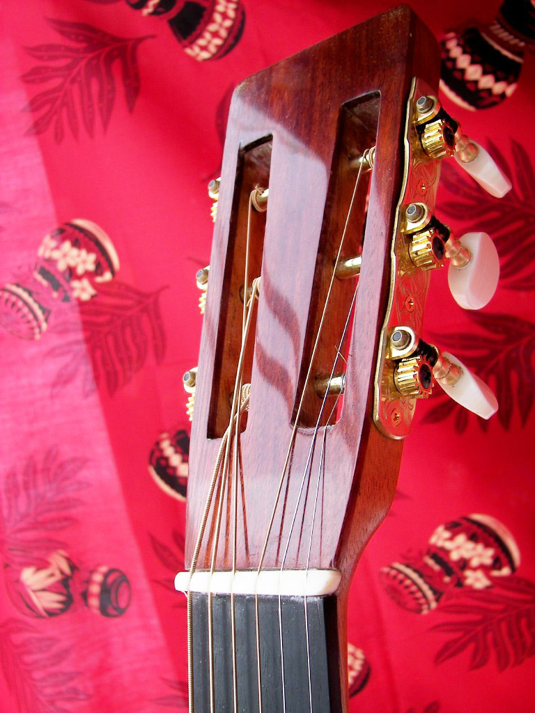 Parlor Guitar Headstock 1